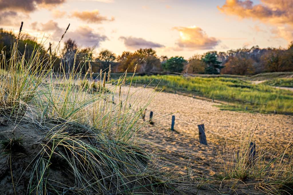Boberger Dünen